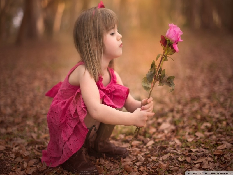 泰国试管的费用,3月10试管