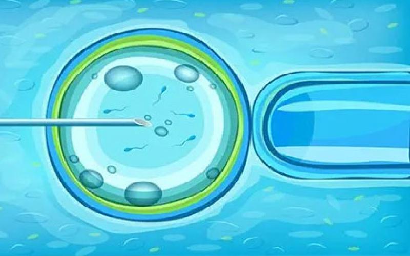 试管宝宝的秘密代生